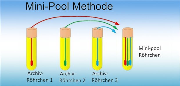 Pool-Testung auf SARS-CoV-2 könnte Testkapazität weltweit deutlich steigern Die Mini-Pool-Methode erhöht die Testkapazität zum Nachweis des Virus bei unveränderter Spezifität und Sensitivität des Tests.