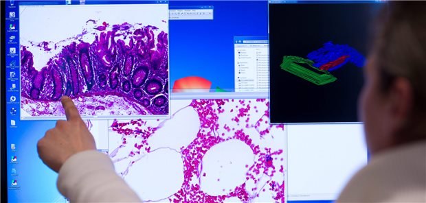 Die Möglichkeiten der Bilderkennung können mittels Künstlicher Intelligenz wesentlich erweitert werden.
