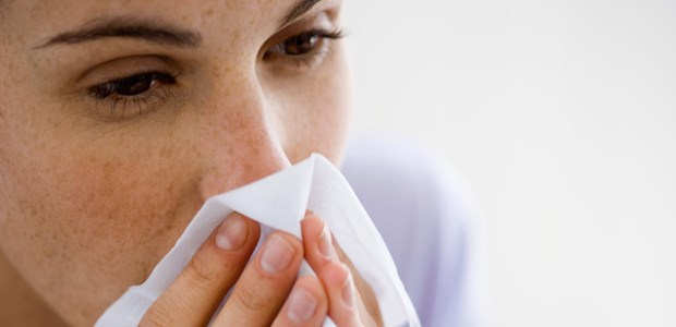 Die Nase läuft - typisch bei einer Rhinosinusitis. Auch dieses Symptom ließ in einer Studie mit dem 5-Pflanzen-Extrakt rascher nach als mit Placebo.