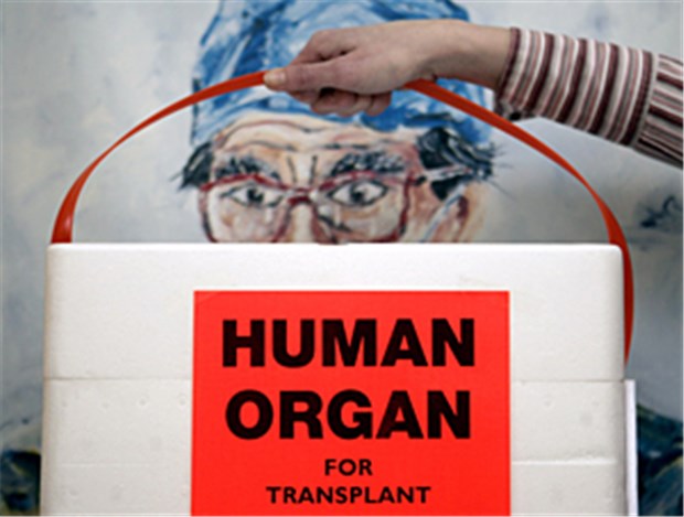 Zähes Ringen um mehr Organspenden Die Novellierung des Transplantationsgesetzes soll die Zahl der Organspenden erhöhen