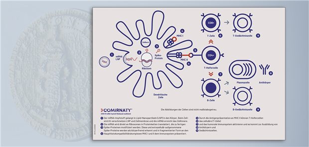 Wirkmechanismus: Die Nukleosid-modifizierte SARS-CoV-2-mRNA wird über Lipid-Nanopartikel in die Zelle transportiert. Dort löst sie sowohl die Bildung neutralisierender Antikörper als auch eine zelluläre Immunantwort gegen dass Spike-Antigen aus.