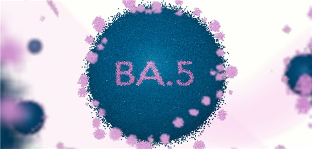Die Omikron-Subvariante BA.5 infiziert aufgrund ihres Immunevasionspotenzials leichter auch Personen, die bereits mit einer früheren Omikron-Subvariante infiziert waren.