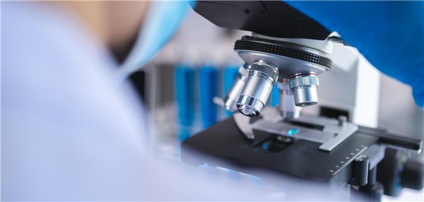 Wissenschaftliche Technikerin untersucht eine histologische Probe unter einem Mikroskop.