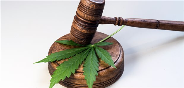 Die Pläne zur Cannabis-Legalisierung stoßen insbesondere in Bayern auf Kritik. Nun soll ein Rechtsgutachten völker- und europarechtliche Grenzen ausloten.