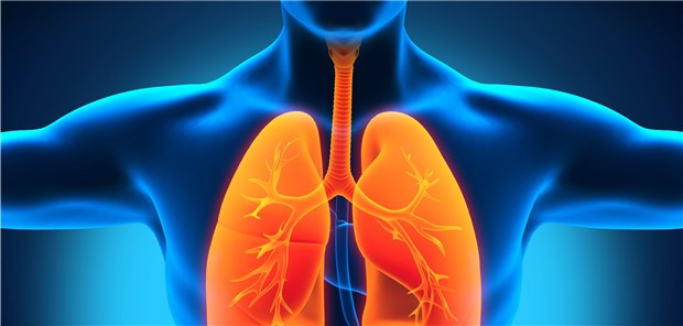 Die Prävalenz der Asthmadiagnosen ist zwischen 2009 und 2016 um 35 Prozent gestiegen.