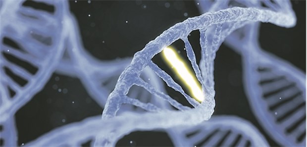 Durchbruch oder Dammbruch? Die Reparatur von Mutationen in embryonaler DNA könnte Erbkrankheiten eindämmen.