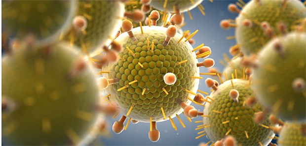 Evidenz, die schönste Nebensache der Welt Die Richter des OLG Stuttgart sind jedenfalls davon überzeugt, dass das Masernvirus tatsächlich existiert.