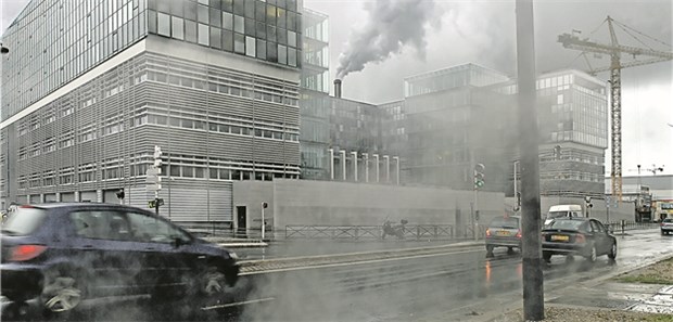 Luftschadstoffe beeinträchtigen viele Organsysteme Die Rolle von Luftschadstoffen bei der Entwicklung von Asthma bleibt unklar, so Experten.