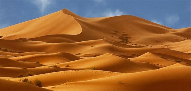 Wüstenstürme bringen gefährliche Organismen Die Sahara: Ihr Staub gelangt bis vor unsere Haustür – mit schädlichen Erregern.
