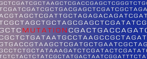Was anfangen mit den Datenmassen? Die Sequenzierung der etwa 20.000 Gene eines Menschen kostet heute nur noch 600 Euro.
