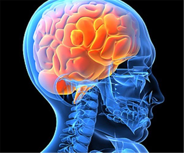 Mit Antidepressiva gegen Hirnschäden Die Serotoninspiegel im Gehirn konnten mit einem SSRI gesteigert werden. © Sebastian Kaulitzki / fotolia.com