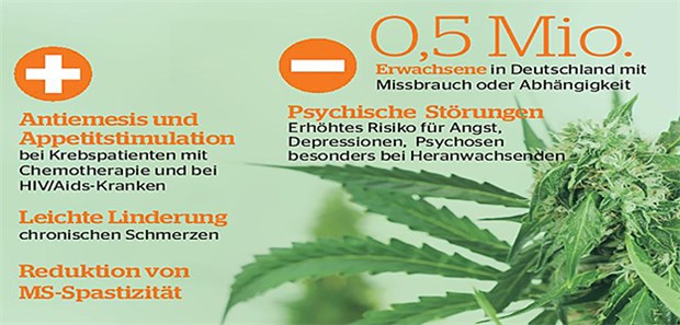 Cannabis – Bisher wenig Evidenz für Arzneien Die Studienautorinnen gehen davon aus, dass in Deutschland ein Prozent aller Erwachsenen bis 64 Jahre cannabis-bezogene Störungen (Missbrauch, Abhängigkeit) haben. Es gibt aber auch positive Aspekte.