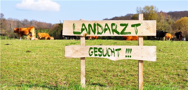 500.000 Euro Einsatz, um einen Hausarzt aufs Land zu locken Die Suche nach Landärzten kostet die zuständigen Institutionen in Niedersachsen viele Millionen.