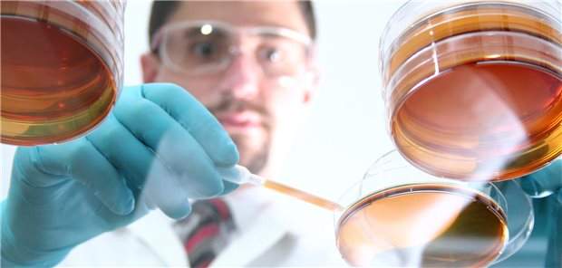 Die Suche nach neuen Wirkstoffen muss sich lohnen. Im bundesdeutschen Arzneimittelmarkt ist das offensichtlich der Fall.