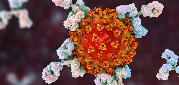 Die Therapie mit Monoklonalen Antikörpern kann in der frühen Phase einer SARS-CoV-2-Infektion oder bei bestimmten Personengruppen zur Prä- wie auch Postexpositionsprophylaxe angewendet werden.