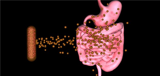 Die Transplantation von Mikroorganismen aus einem gesunden Darm in einen Darm mit Dysbiose soll ein gesundes Mikrobiom wiederherstellen.