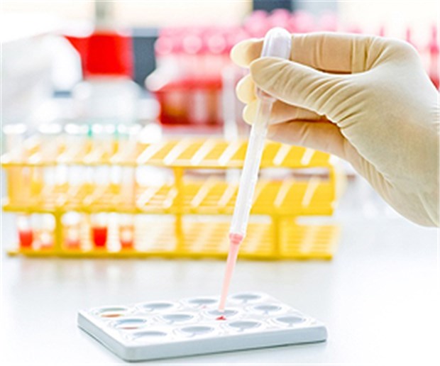 Das Doping-Dilemma Die Trockenlegung des Dopingsumpfs trifft auch jene Sportler, die sich nie etwas haben zu Schulden kommen lassen.