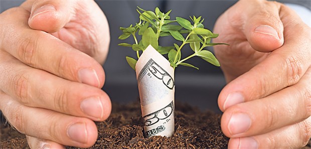 Starker Dollar treibt Gewinne hoch Die US-Wirtschaft wächst und bereitet damit dem Doller einen nahrhaften Boden.