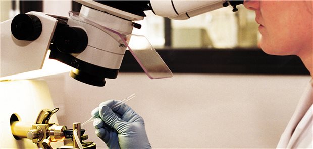 Forschende Pharmaindustrie: Regelhaft beschleunigte Zulassung in Europa noch kein Thema Die USA machen Tempo bei der Zulassung von Arzneiinnovationen. In Europa ist eine Beschleunigung des Verfahrens noch kein Thema.