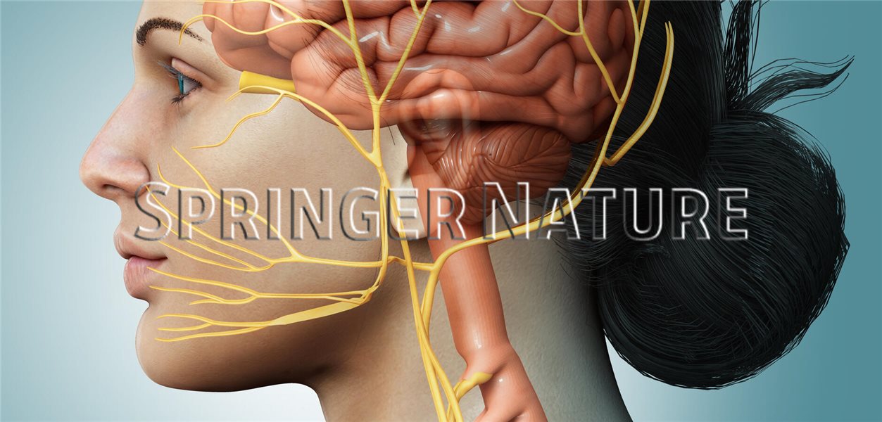Sofortige Schmerzlinderung Bei Rheuma? Antientzündlicher Reflex: Vagusnerv Stimulation Im Fokus. - zi0btcz
