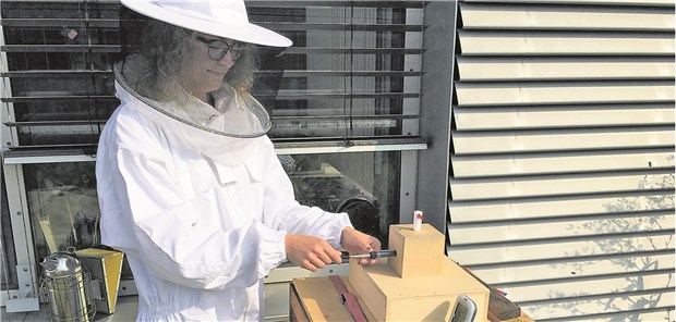 Heilende Luft aus dem Bienenstock? Die Verbindungen in der Bienenstockluft stammen überwiegend aus dem Bienenharz („Propolis“) und dem Bienenwachs.
