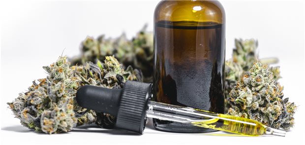 Cannabis-Verschreibung: „Die Bürokratie wird gruselig“ Die Verordnung von Cannabis-Produkten macht Ärzten häufig Probleme.