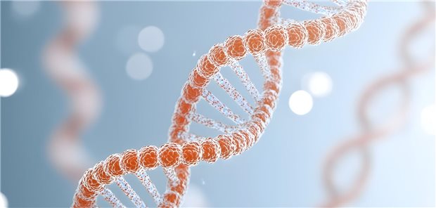 CAR-T-Zelltherapie: Prozess der Reprogrammierung von T-Zellen.
