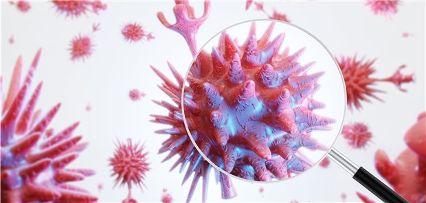 WHO: Suche nach Corona-Ursprung nicht politisieren! Suche nach dem Ursprung des Coronavirus