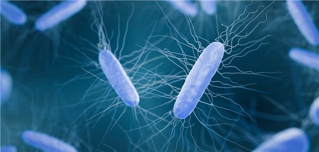 Dreidimensionale Illustration des gram-positiven Bakteriums Clostridioides difficile.