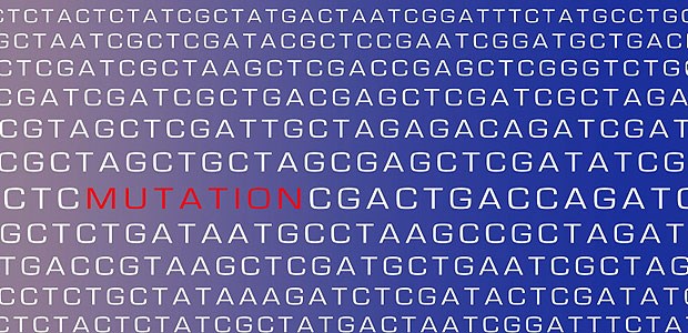 Da kommt was auf Patienten und Ärzte zu Die Wissenschaft will die totale Sequenzierung aller Buchstaben des Genalphabets.