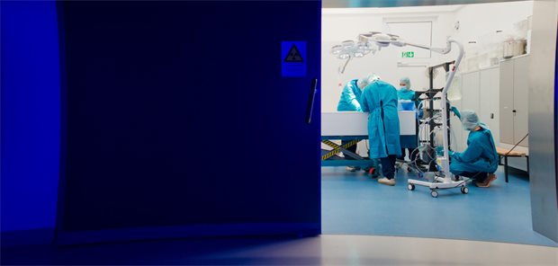 Die Wissenschaftler arbeiten mit der Annahme, dass die Zellen nach dem „Auftauen“ ihre normalen physiologischen Prozesse wieder aufnehmen.