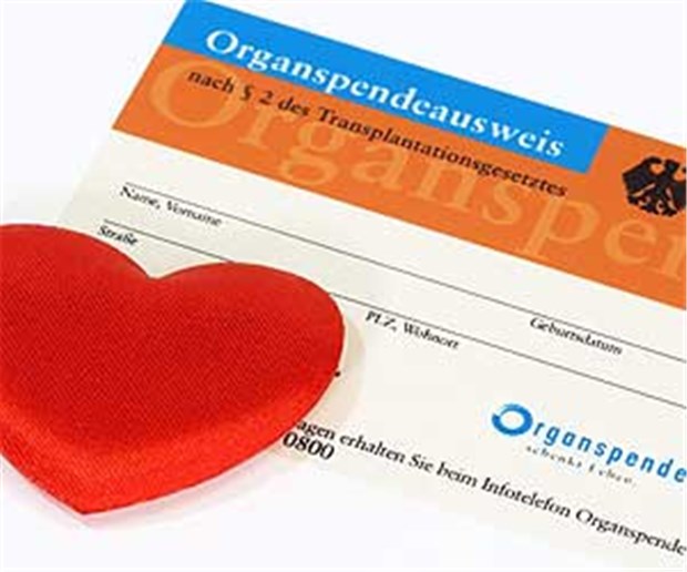 Durchbruch bei der Organspende Die Zahl der Organspender soll erhöht werden, ohne Zwang auszuüben. Darauf haben sich die Fraktionen geeinigt.