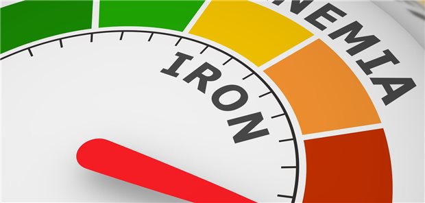 Eisenmangelanämie: Höhere Ferritin-Untergrenze für mehr Sicherheit? Gradientenskala für den Eisenwert mit dem Tacho im roten Bereich, was für eine Eisenmangelanämie steht.