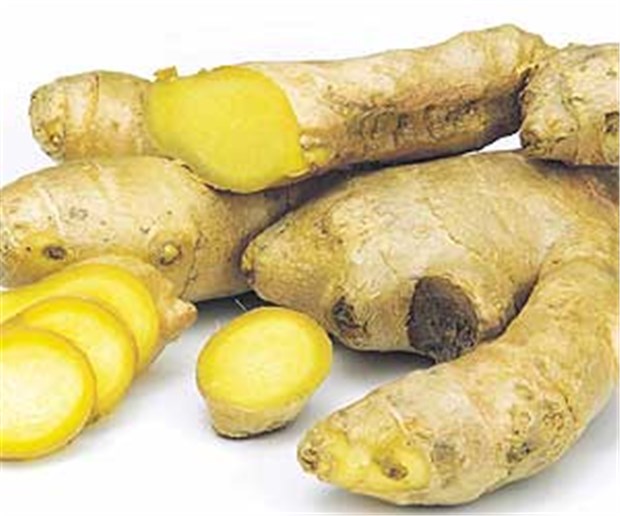 Ingwer tötet Prostatakrebszellen Die aromatische Ingwerwurzel - Küchengewürz und Arznei.