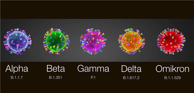 Die besorgniserregenden Varianten von SARS-CoV-2: Alpha, Beta, Gamma, Delta und Omikron.
