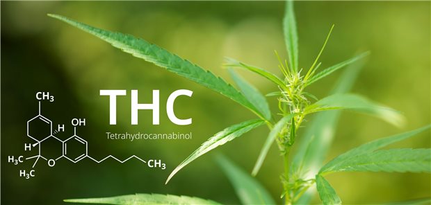 THC made in Germany Die chemische Formell von THC