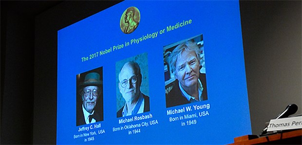 Medizinnobelpreis 2017 für drei US-Forscher Die drei Nominierten für den Nobelpreis für Medizin 2017: Jeffrey C. Hall, Michael Rosbash und Michael W. Young.