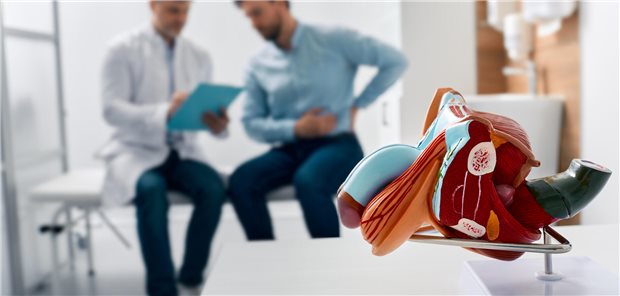 Die einmalige Einladung zu einem PSA-Screening habe verglichen mit dem Standardvorgehen ohne Routinescreening die Zahl der Todesfälle durch Prostatakrebs reduziert, fassen  Richard Martin und Kollegen die Resultate ihrer Sekundäranalyse der CAP-Studie zusammen, merken jedoch an, dass absolut betrachtet ist die Reduktion gering ausgefallen ist.