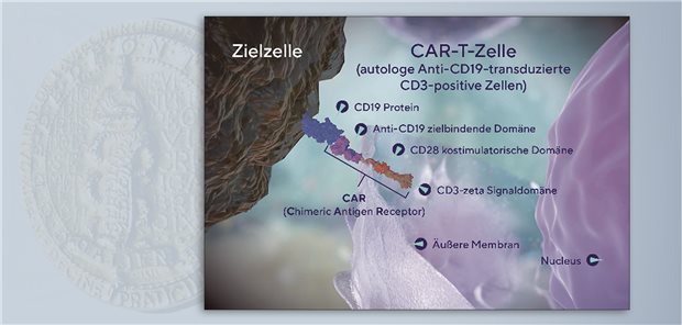 Schematische Darstellung des Wirkmechanismus.