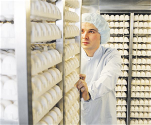 Wer Rührei verträgt, kann auch geimpft werden Die konventionelle Produktion von Influenza-Impfstoffen erfordert Millionen von Hühnereiern.