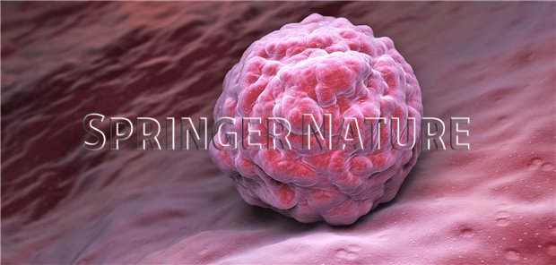 Durchbruch Für Die Medizin Ganzhirn Im Labor Gezüchtet Die Erforschung Komplexer Hirnerkrankungen Steht Vor Einem Wendepunkt - 1tivg9u
