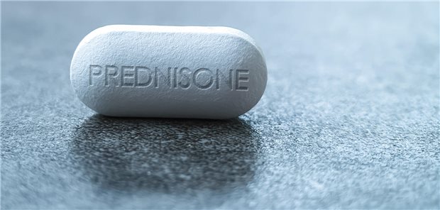 Nahaufnahme einer Prednison-Tablette einem Glukokortikoid-Medikament zur Unterdrückung des Immunsystems bei Asthma, COPD und rheumatologischen Erkrankungen.