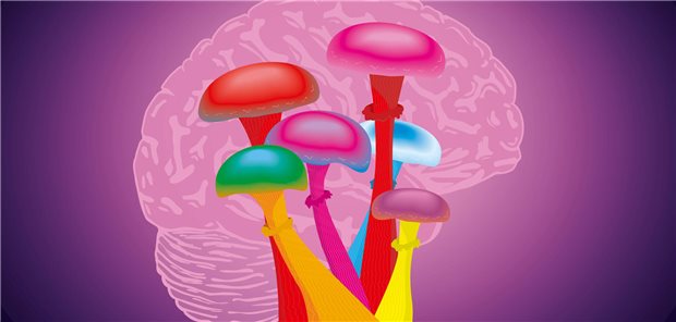 Verschieden große Pilze stehn im Vordergrund. Ein Gehirn ist dahinter zu sehen. 