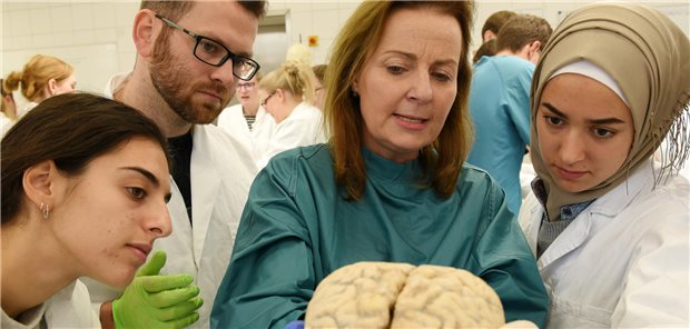 Die moderne Medizin macht Quantensprünge, die Ausbildung spielt noch mit der Murmel.