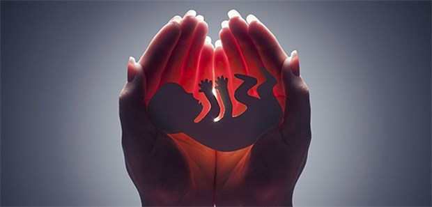 Feinstaub – ein Risikofaktor für Fehlbildungen? Die möglichen Einflussfaktoren auf die Embryonalentwicklung sind vielfältig; Umweltschadstoffe können dabei eine maßgebliche Rolle spielen.