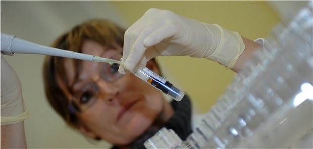 Projekt DigiNet ermöglicht personalisierte Krebstherapie in zwei Modellregionen Die molekulare Tumordiagnostik könnte in der onkologischen Versorgung Geld einsparen helfen – durch personalisierte Medikamente.