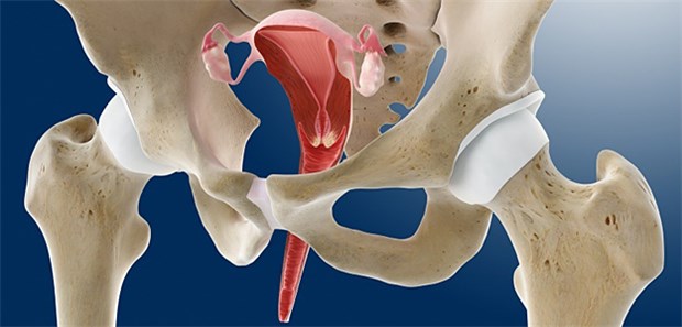 Weitere Uterustransplantationen geplant Die nächste Uterustransplantation plant die Uniklinik Tübingen schon Anfang 2017.