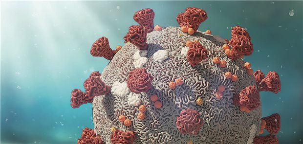 Bild eines Coronavirus