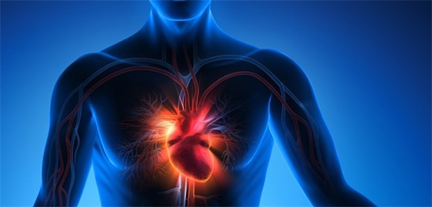 Die schonende Kathetergestützte Implantation von Herzklappen bietet nicht nur für sehr alte Menschen eine Alternative zum herzchirurgischen Eingriff.
