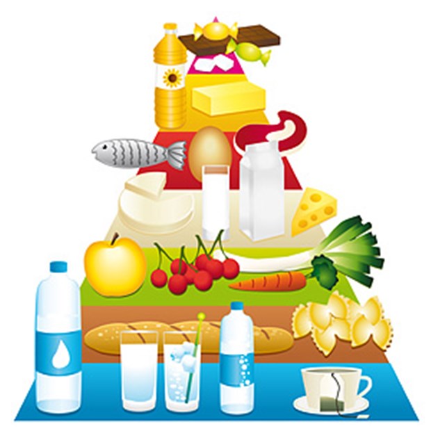 Was Hans isst, sollte Hänschen nur zur Hälfte essen Die sogenannte Lebensmittel-Pyramide zeigt die Mengenangabe für eine ausgewogenen Ernährung.